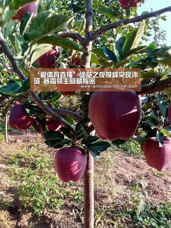 ‘爱体育直播’堡垒之夜极峰突现冰球 寒霜领主暗藏秘密(图2) 爱体育下载