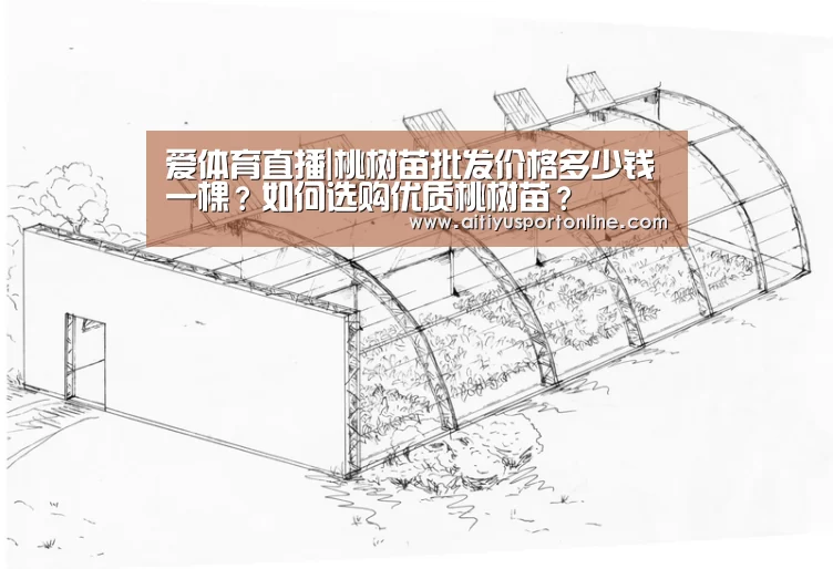 爱体育下载