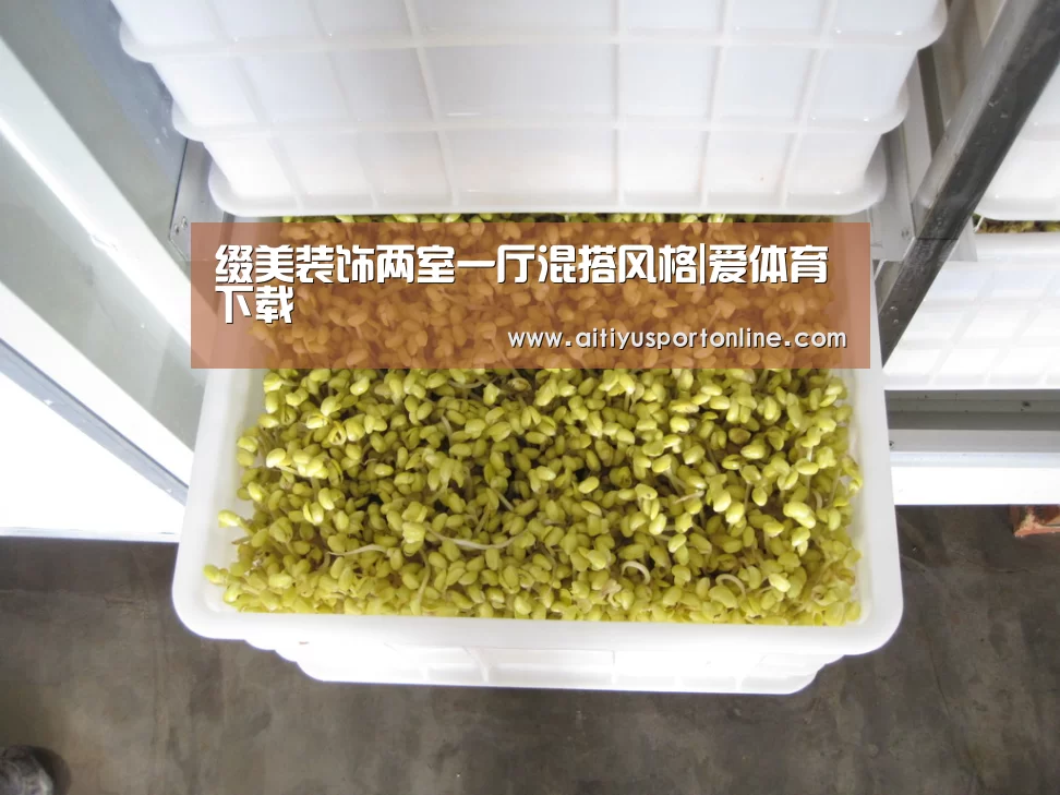 缀美装饰两室一厅混搭风格|爱体育下载(图2) 爱体育下载