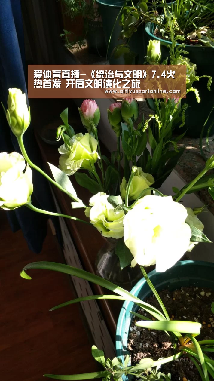 爱体育直播-《统治与文明》7.4火热首发 开启文明演化之旅(图2) 爱体育官网
